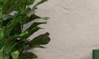 Imagem 7: MORADA DE GAIA | ONDE A NATUREZA ESCOLHEU MORAR