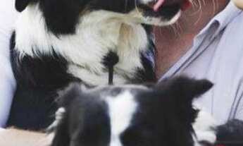 Imagem: APARTAMENTO GIOVANNI DI PIETRO RESIDENCE