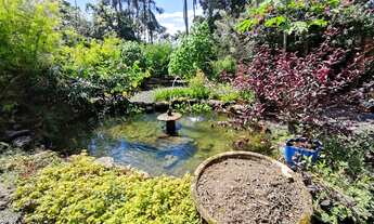 Imagem: LINDA CHÁCARA NA ESTRADA BONITA PIRABEIRABA