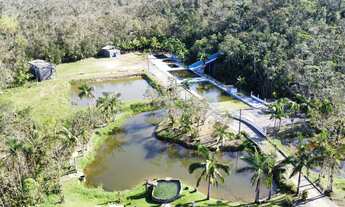 Imagem 6: LINDA CHÁCARA EM GARUVA | 153.000 M²