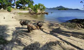 Imagem 2: ILHA DA MURTA BAIA DA BABITONGA SÃO FRANCISCO | 220 M² CONSTRUÍDOS