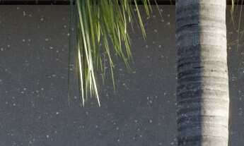 Imagem 6: APARTAMENTO 02 QUARTOS COM SUÍTE NA PLANTA | ANITA GARIBALDI