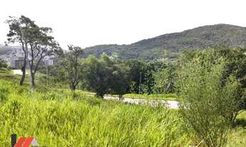 Imagem 7: Terreno a venda no bairro Itacorubi