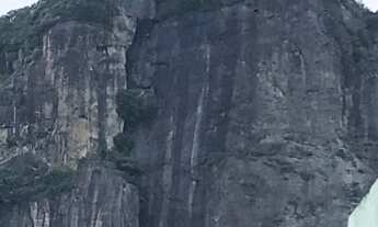 Imagem 2: Jardim Botânico, 4 dormitórios na Rua Engenheiro Alfredo Duarte