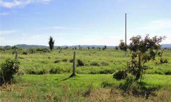 Imagem: Vende-se em Juina, 18.000 hectares, 6.000