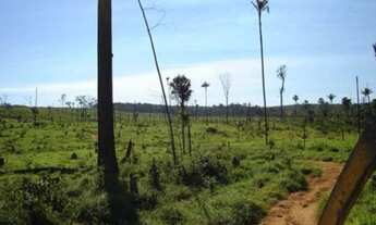 Imagem: Vende-se fazenda em Juara, 4.163 hectares