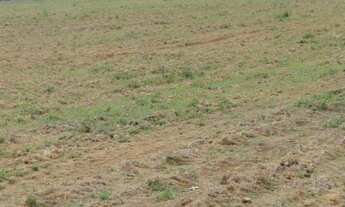 Imagem: Vende-se em Peixoto de Azevedo, 13.000 hectares