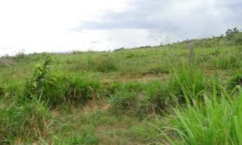 Imagem 2: Vende-se em Peixoto de Azevedo, 13.000 hectares, 4.800 ha de pasto formado
