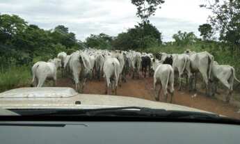 Imagem 2: 64.000 hec com 32.000 hec formada em pastagens. 26.000 hec são próprios para lavoura