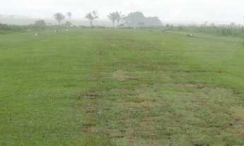 Imagem 3: 64.000 hec com 32.000 hec formada em pastagens. 26.000 hec são próprios para lavoura