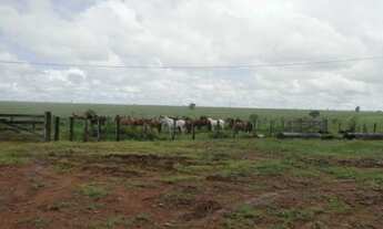 Imagem 4: 64.000 hec com 32.000 hec formada em pastagens. 26.000 hec são próprios para lavoura