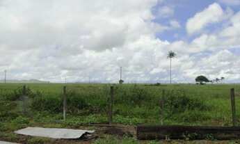 Imagem 5: 64.000 hec com 32.000 hec formada em pastagens. 26.000 hec são próprios para lavoura