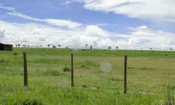 Imagem 6: 64.000 hec com 32.000 hec formada em pastagens. 26.000 hec são próprios para lavoura
