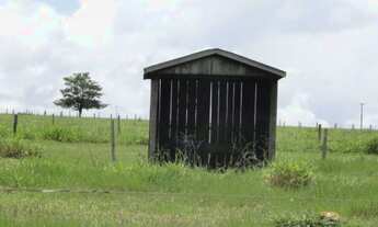 Imagem 7: 64.000 hec com 32.000 hec formada em pastagens. 26.000 hec são próprios para lavoura