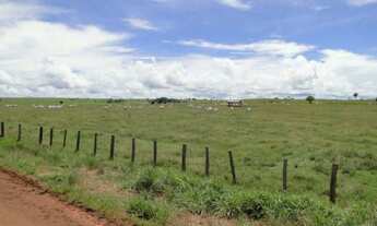 Imagem: 64.000 hec com 32.000 hec formada em pastagens