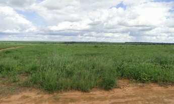 Imagem: Vende-se fazenda com 8.200 hectares totais