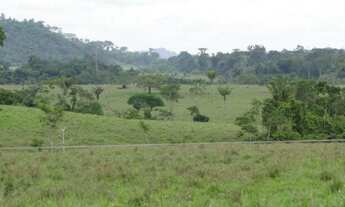 Imagem: Vende-se fazenda em Nova Monte Verde, 3.146