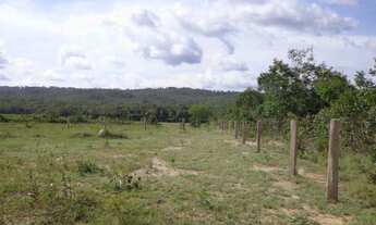 Imagem: Vende-se em Peixoto de Azevedo, Fazenda