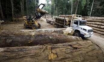 Imagem: Vende-se fazenda em Sena Madureira, Área