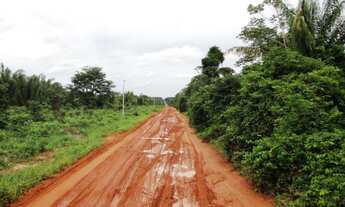 Imagem: Vende-se fazenda em Nova Maringá, 605 hectares