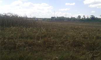 Imagem 5: Vende-se em Sinop, 1.260 hec com 763 hec plantando, Argila de 20% a 35