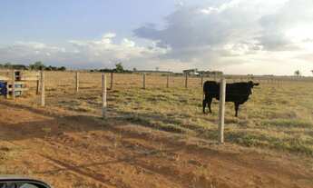 Imagem: Vende-se em Sinop, 122 hectares, 110 hectares