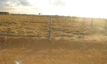 Imagem 3: Vende-se em Sinop, 122 hectares, 110 hectares aberto, 100% escriturado, frente a BR 163