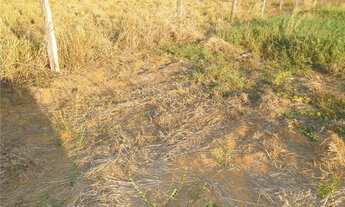 Imagem 5: Vende-se em Sinop, 122 hectares, 110 hectares aberto, 100% escriturado, frente a BR 163