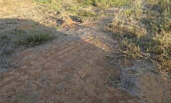 Imagem 6: Vende-se em Sinop, 122 hectares, 110 hectares aberto, 100% escriturado, frente a BR 163