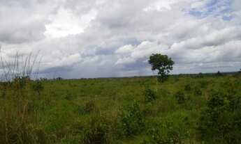 Imagem 3: Vende-se em Nova Brasilândia, 5.276 hec total, 3.477 hec abertos em pasto