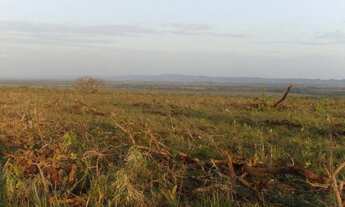 Imagem 2: Vende-se em Nova Brasilândia, 5.276 hec total, 3.477 hec abertos em pasto