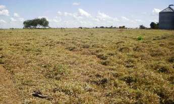 Imagem: Vende-se em Sinop, área de 2 Hectares