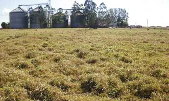 Imagem 2: Vende-se em Sinop, área de 2 Hectares