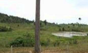 Imagem 4: Vende-se em Nova Monte Verde, 1.000 alqueires (paulista), 430 alqueires formados em pasto