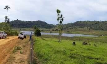 Imagem 6: Vende-se em Nova Monte Verde, 1.000 alqueires (paulista), 430 alqueires formados em pasto