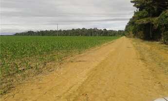 Imagem: Vende-se 166 hec com 90 hec de lavoura e