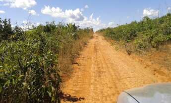 Imagem: Vende-se fazenda em Marcelândia, 2.420