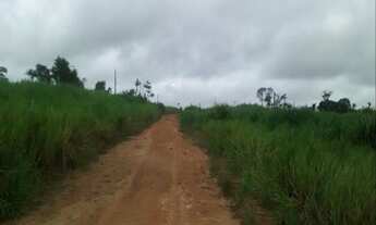 Imagem: FAZENDA RURAL em NOVA BANDEIRANTES - MT