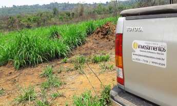 Imagem: FAZENDA RURAL em ALTA FLORESTA - MT, JARDIM
