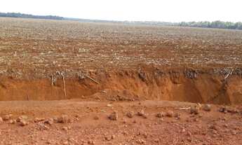 Imagem: Vende-se fazenda 484 hec, com 300 plantando