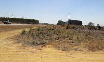 Imagem: Vende-se área de 25 hectares, em Sinop