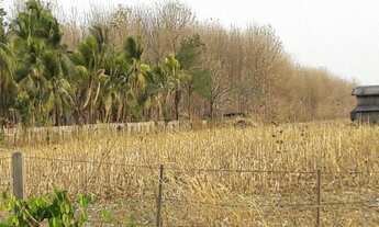 Imagem: Vende-se ótima chácara para loteamento