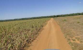 Imagem: Vende-se fazenda área de 158 hec, em Sinop