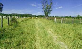 Imagem 5: VENDE-SE FAZENDA de 1.475 Ha., ou 305 alq.go., NO MUNICÍPIO DE SANTA TEREZINHA-MT