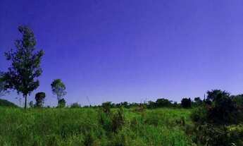 Imagem: VENDE-SE FAZENDA 3.418 Ha. Ou 706 alq.go