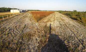 Imagem: Vende-se ótima chácara, com 7 alqueires