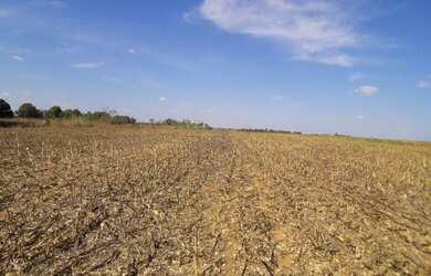 Imagem 2: Vende-se em Sinop, chácara com 290.000 m2