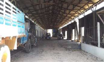 Imagem 2: Vende-se chácara na Região da Cerâmica Marilin