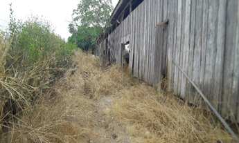 Imagem 7: Vende-se chácara na Região da Cerâmica Marilin