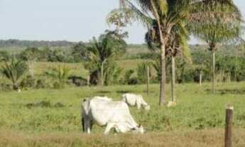 Imagem: Vende-se fazenda de 340 hectares, com 290